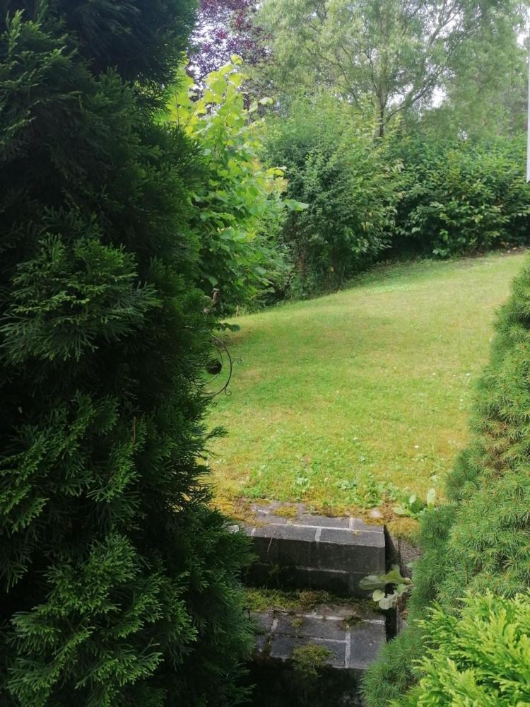 Fewo Grenzenlos In Ramsberg Pleinfeld Εξωτερικό φωτογραφία